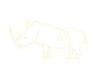 white rhino.
